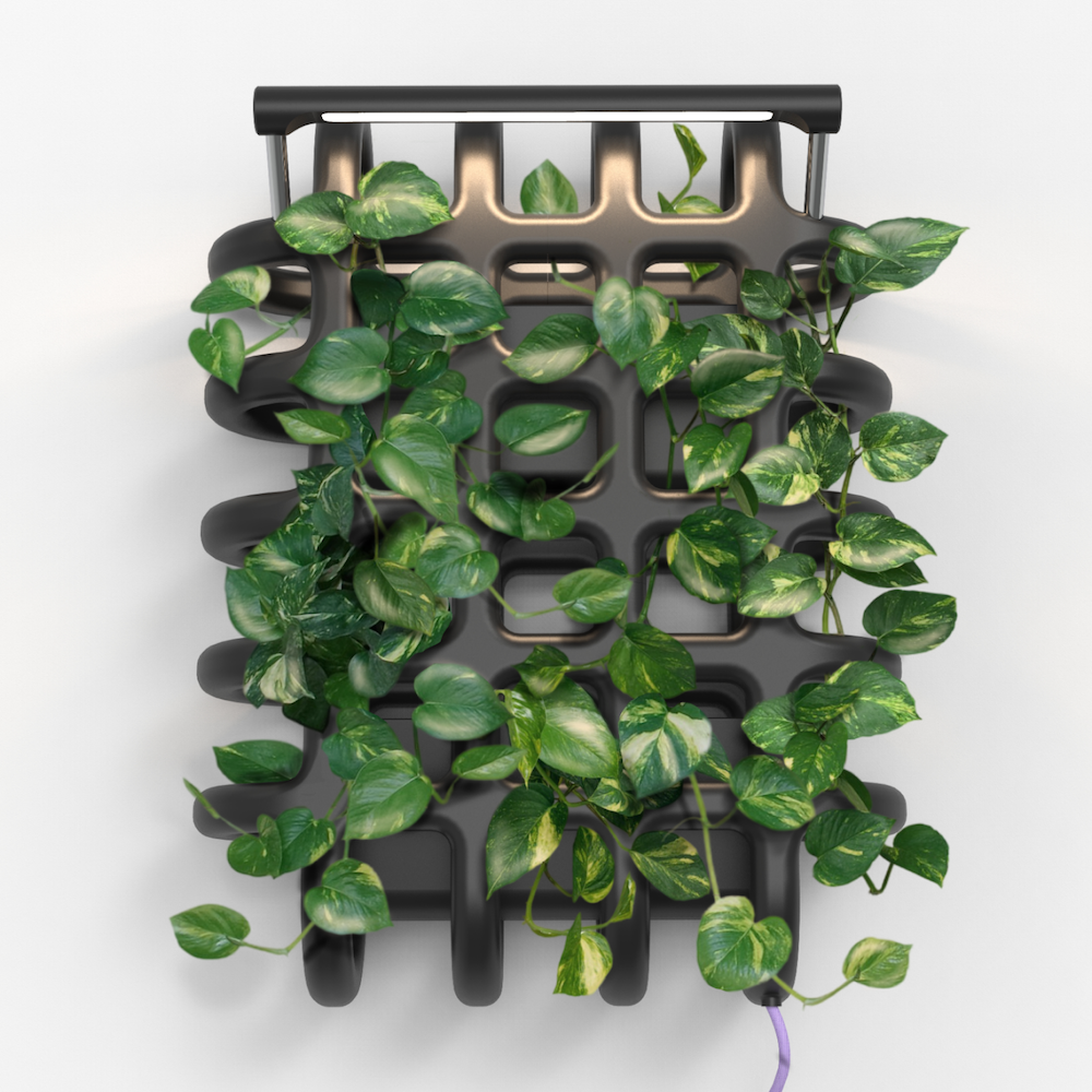 last project picture